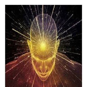 Meet your Posher, Marcellus